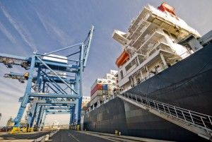 shipping